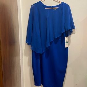 Bleu dress brand new